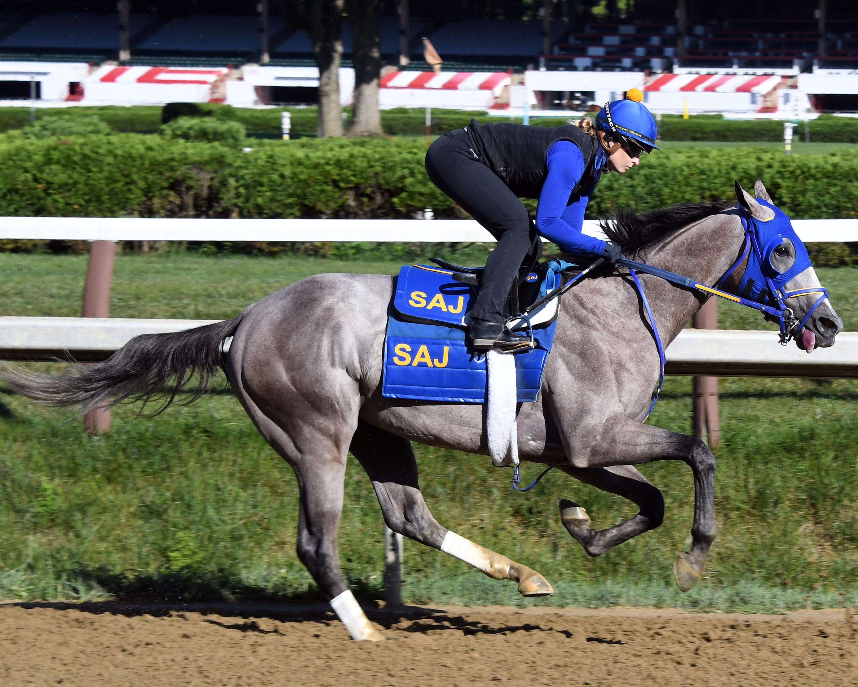 Ny Traffic trains at Saratoga